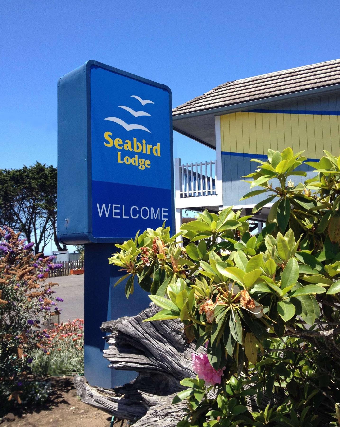 Seabird Lodge Fort Bragg Bagian luar foto